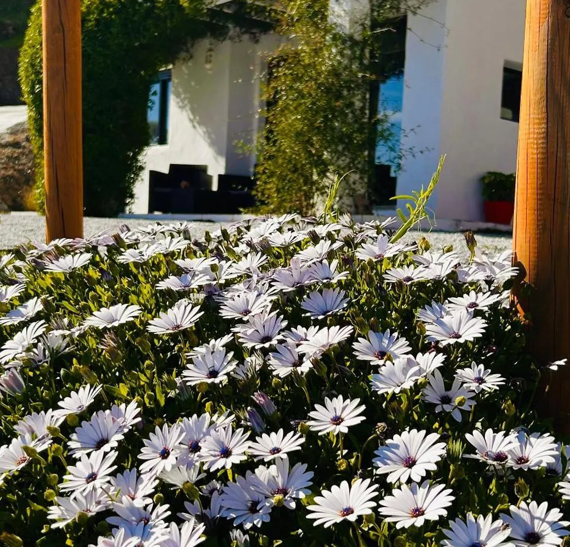 Holiday home Mentirosanata Villa Malaga